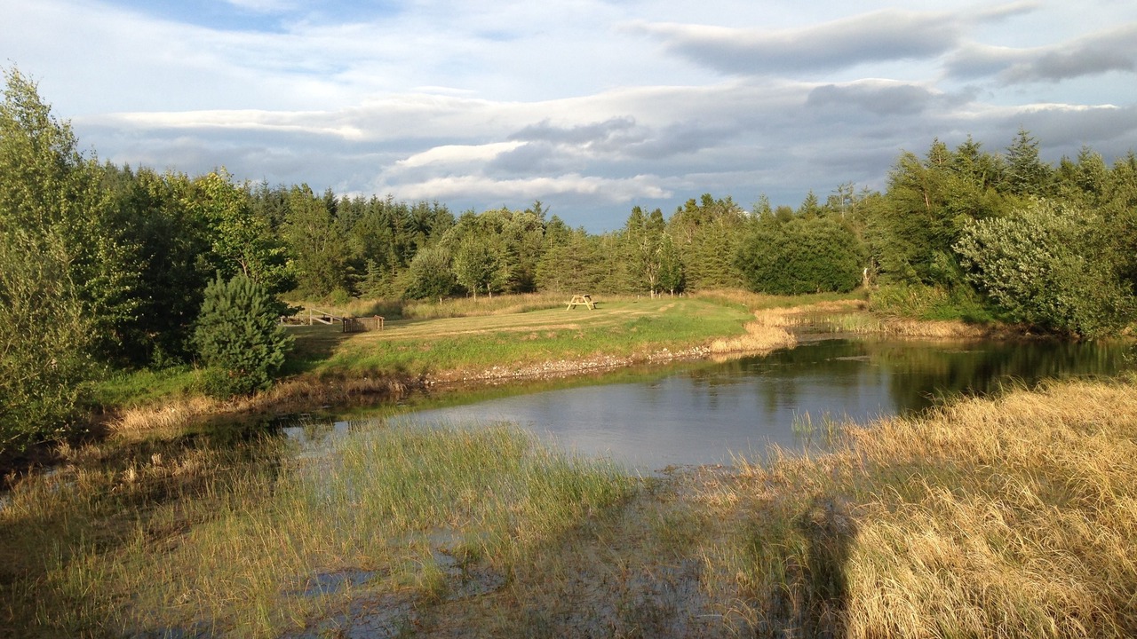 Photo of Others in Forres