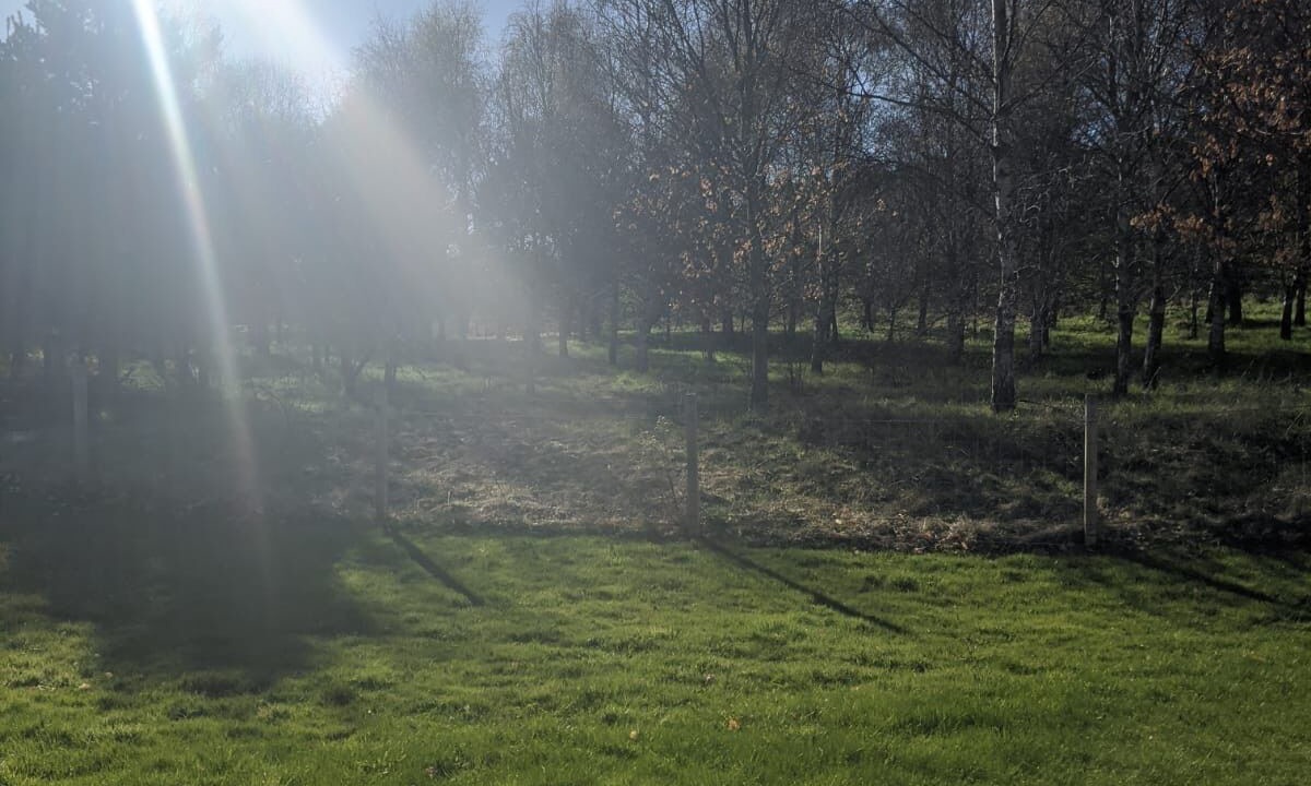 Photo of Outdoor in Forres