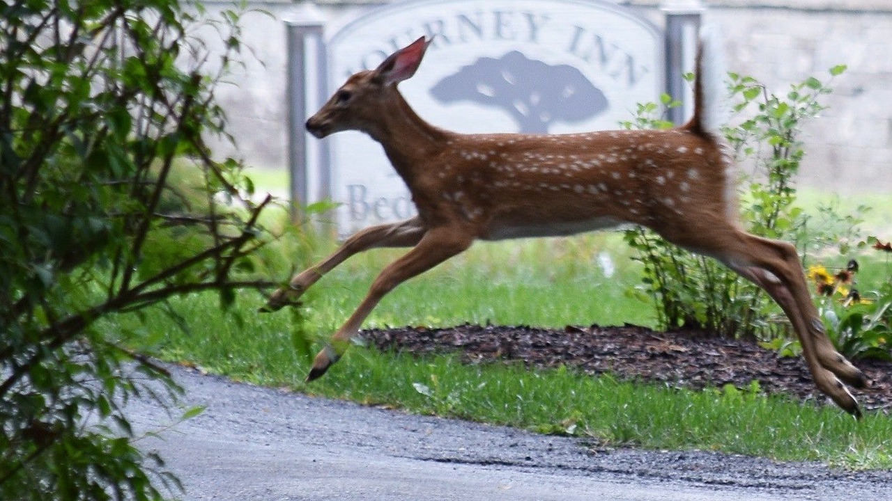 Photo of Outdoor in Hyde Park