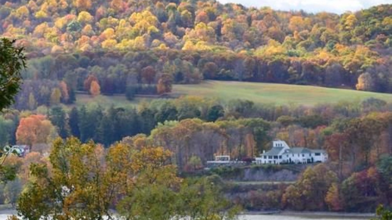 Photo of Others in Hyde Park