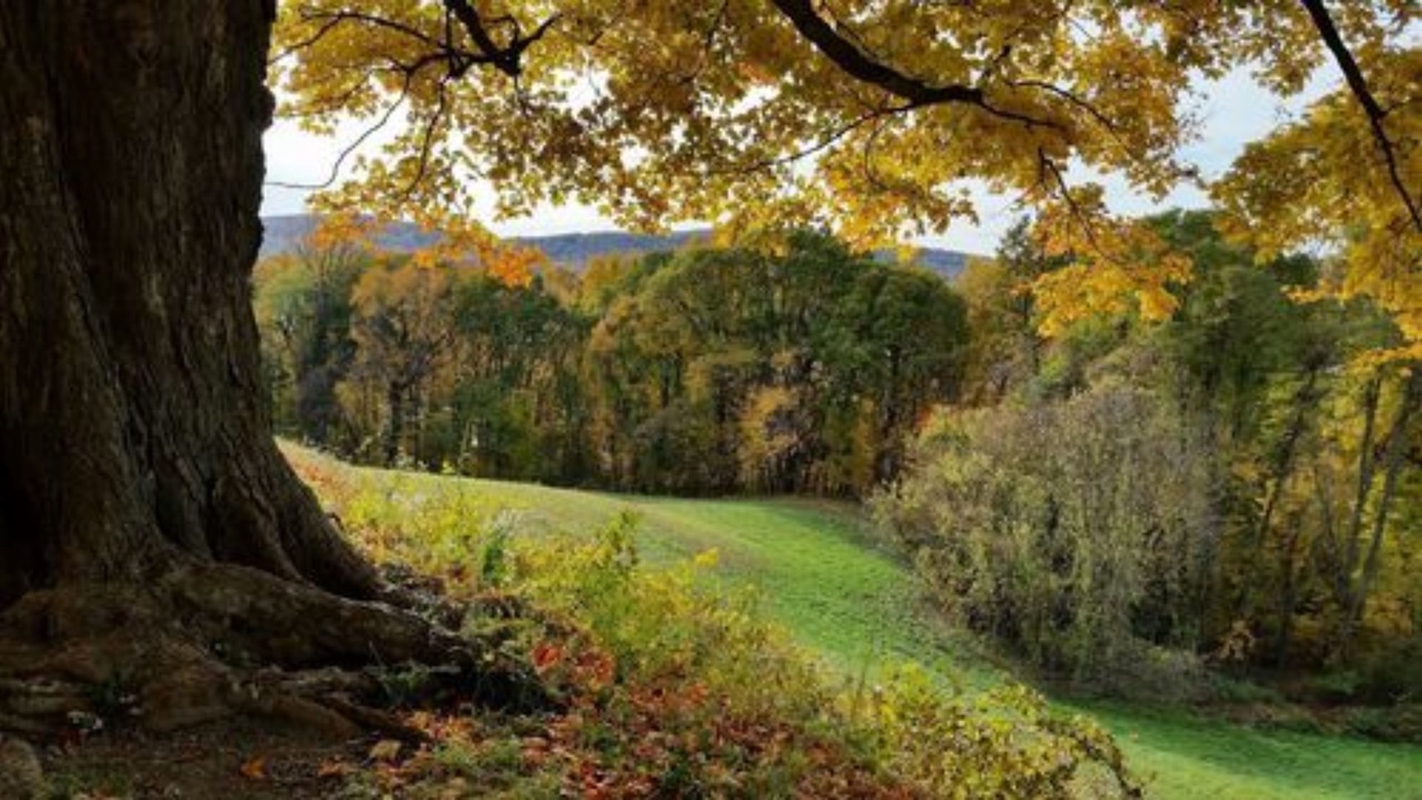 Photo of Outdoor in Hyde Park