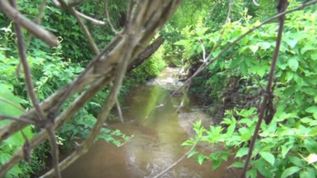 Photo of Outdoor in Sperryville