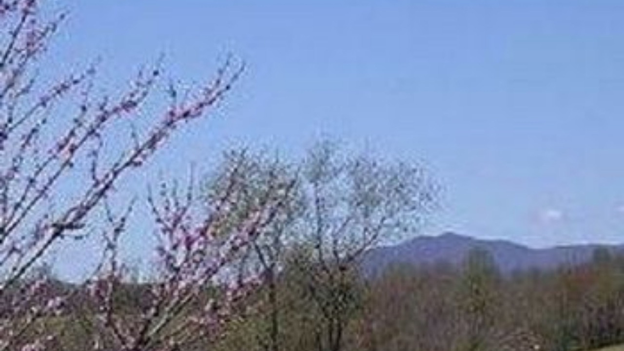 Photo of Others in Sperryville