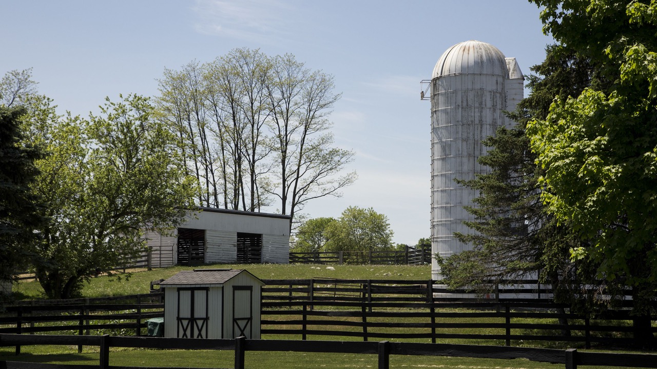 Photo of Outdoor in Carlisle
