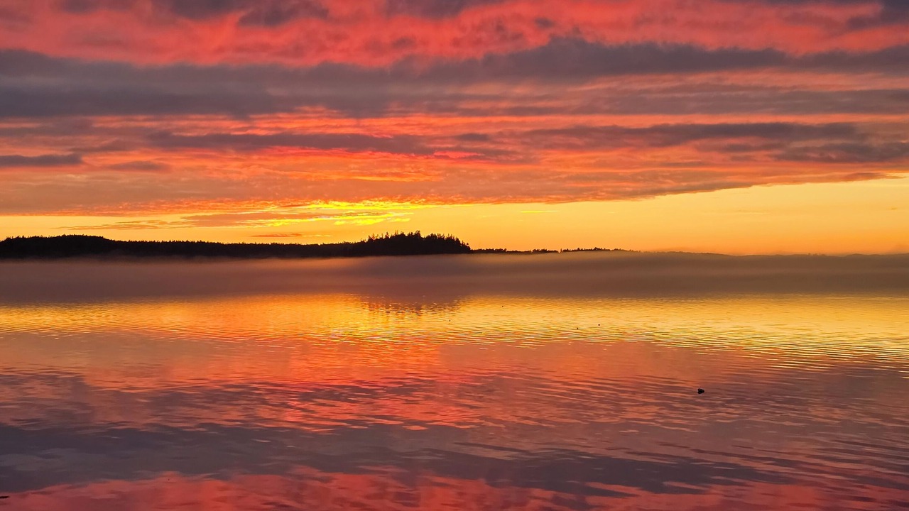 Photo of Others in Lubec