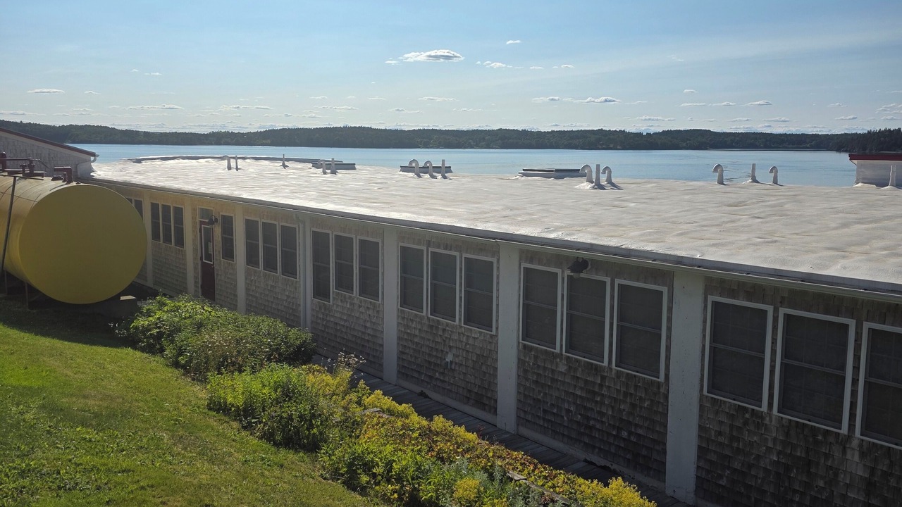 Photo of Outdoor in Lubec