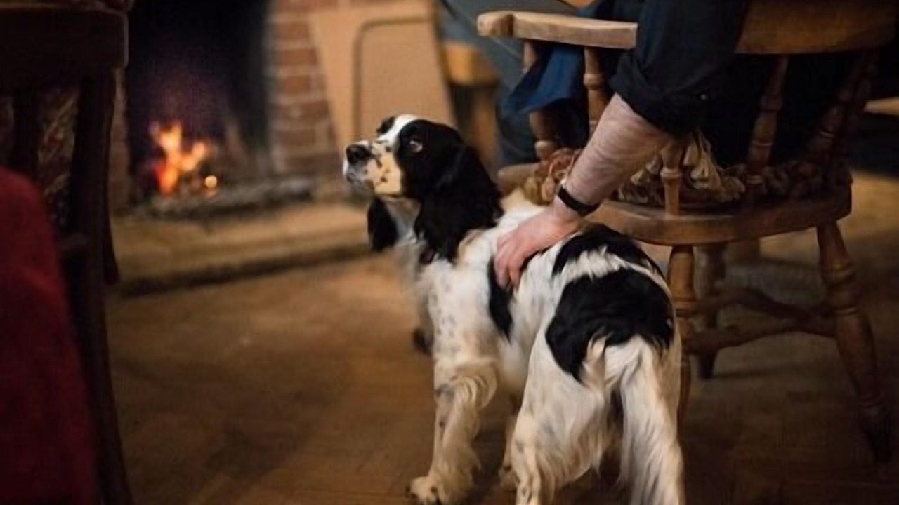 Photo of Others in Swindon