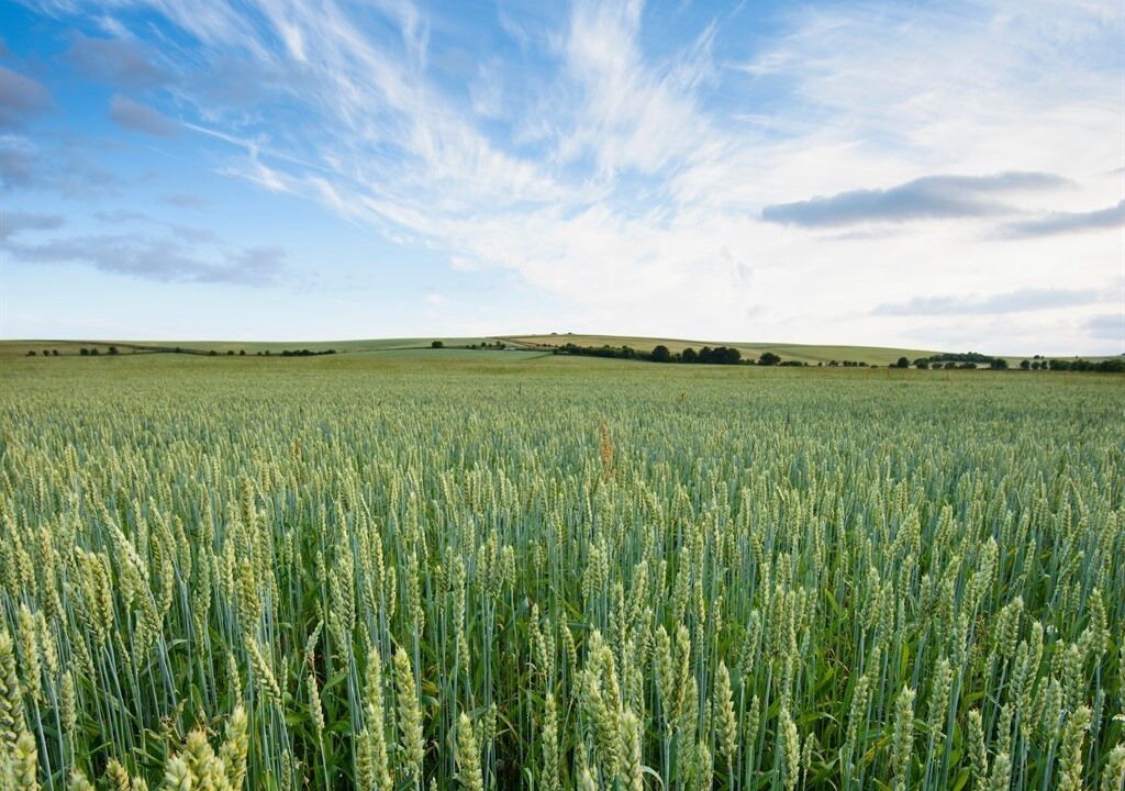 Photo of Others in Swindon