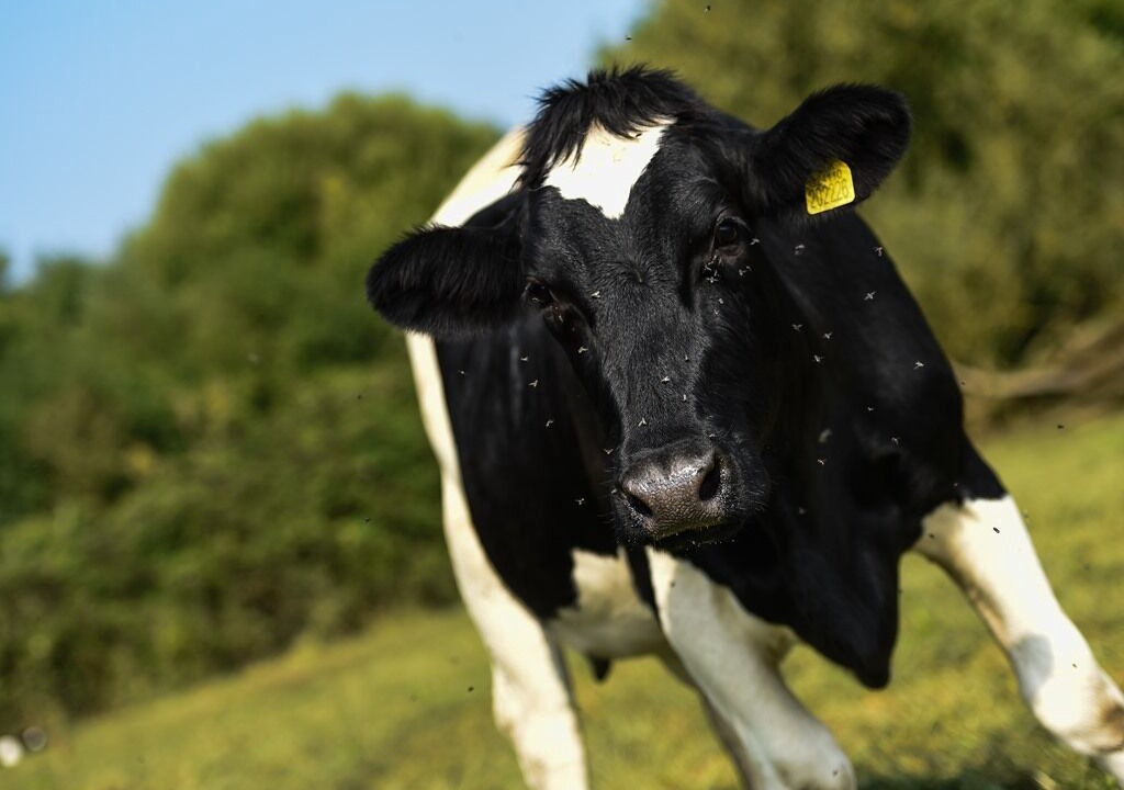 Photo of Others in Swindon