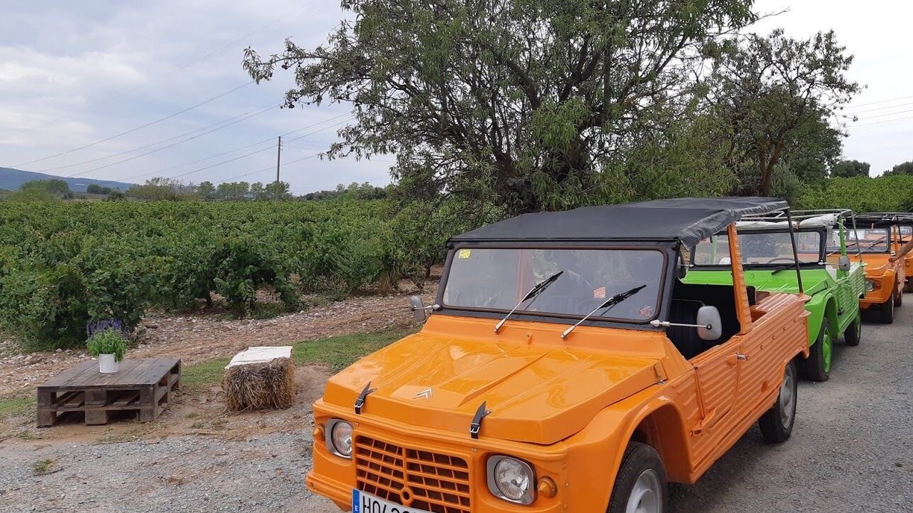 Photo of Outdoor in Sant Llorenc d'Hortons
