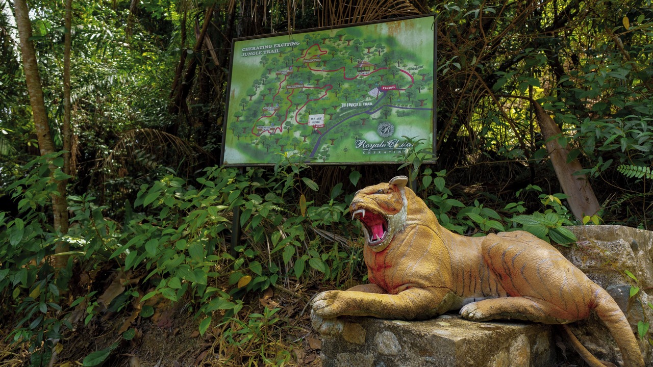 Photo of Outdoor in Cherating