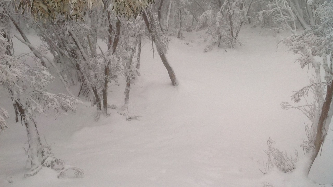 Photo of Outdoor in Mount Buller