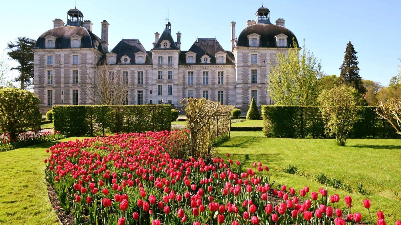 Photo of Others in Blois