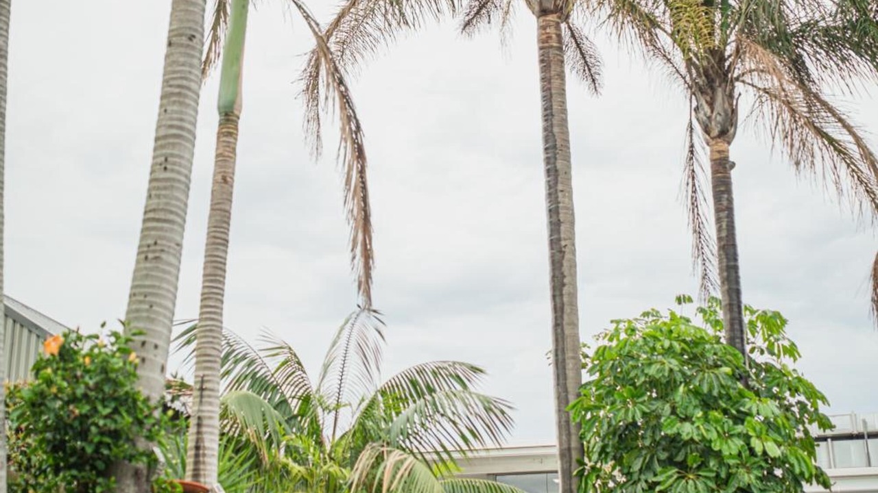 Photo of Outdoor in Hamilton East