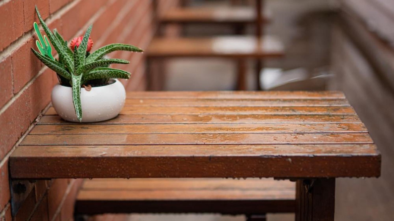 Photo of Outdoor in Hamilton East