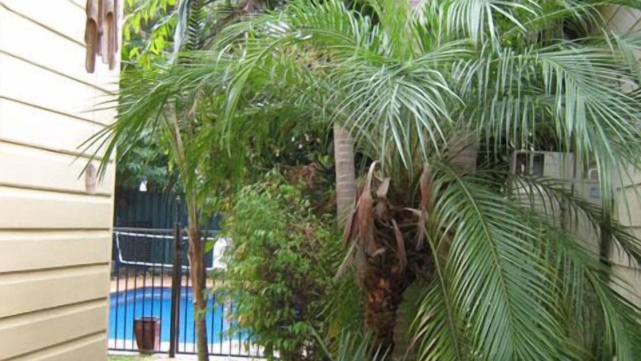 Photo of Outdoor in Hamilton East