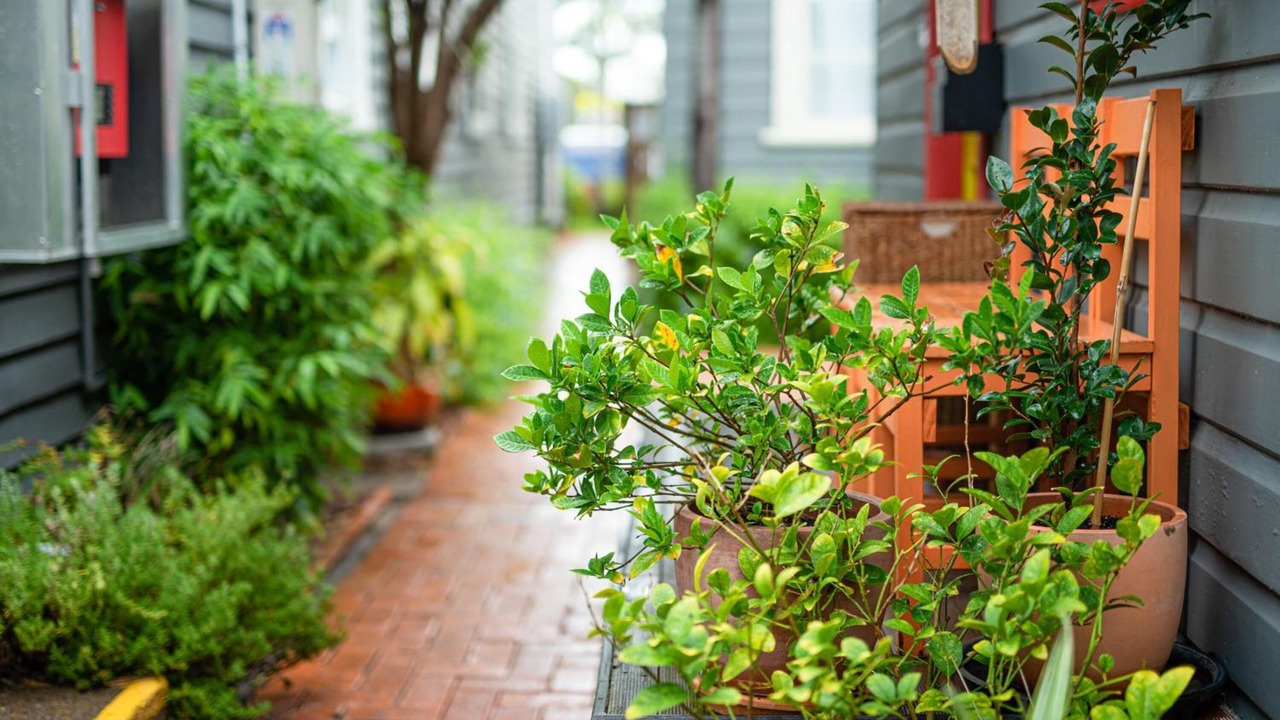 Photo of Outdoor in Hamilton East