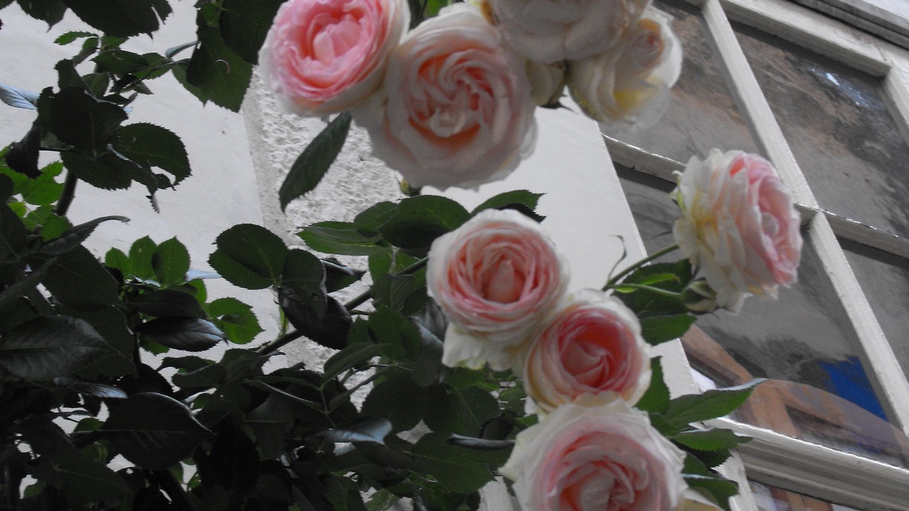 Photo of Outdoor in Loches
