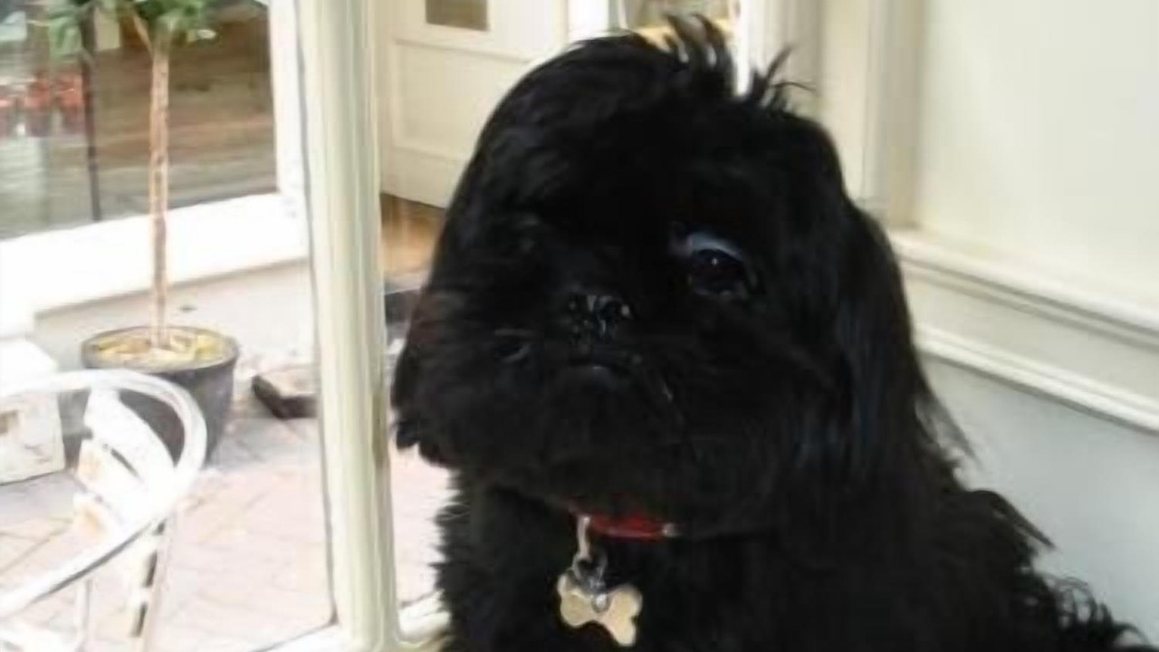 Photo of Others in Nantwich