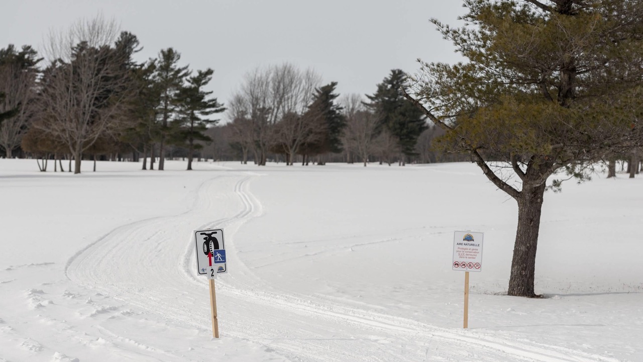 Photo of Others in Venise-en-Quebec