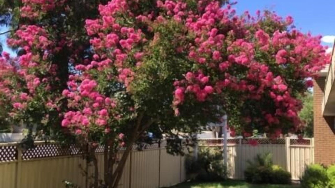 Photo of Outdoor in Eaglehawk