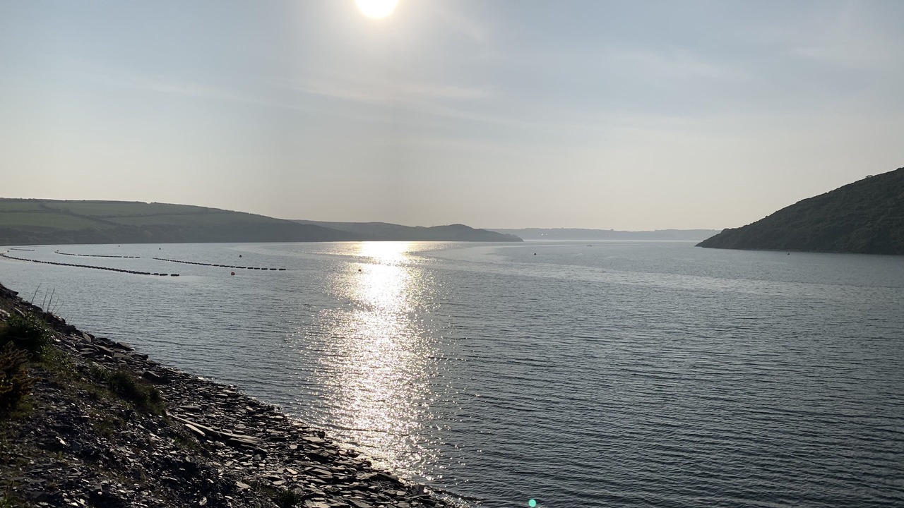 Photo of Others in Treator