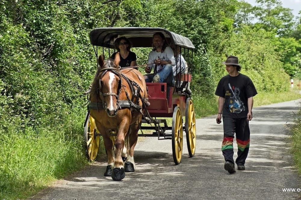 Photo of Outdoor in Louverne