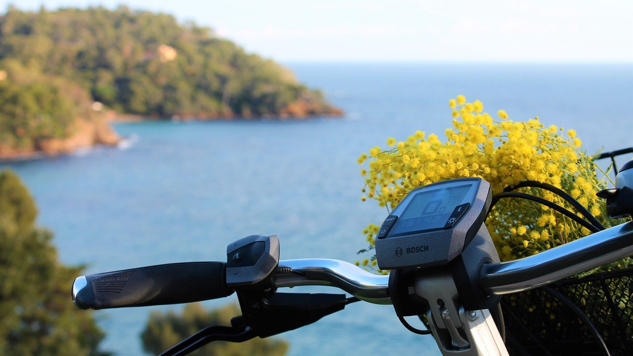 Photo of Outdoor in Le Rayol