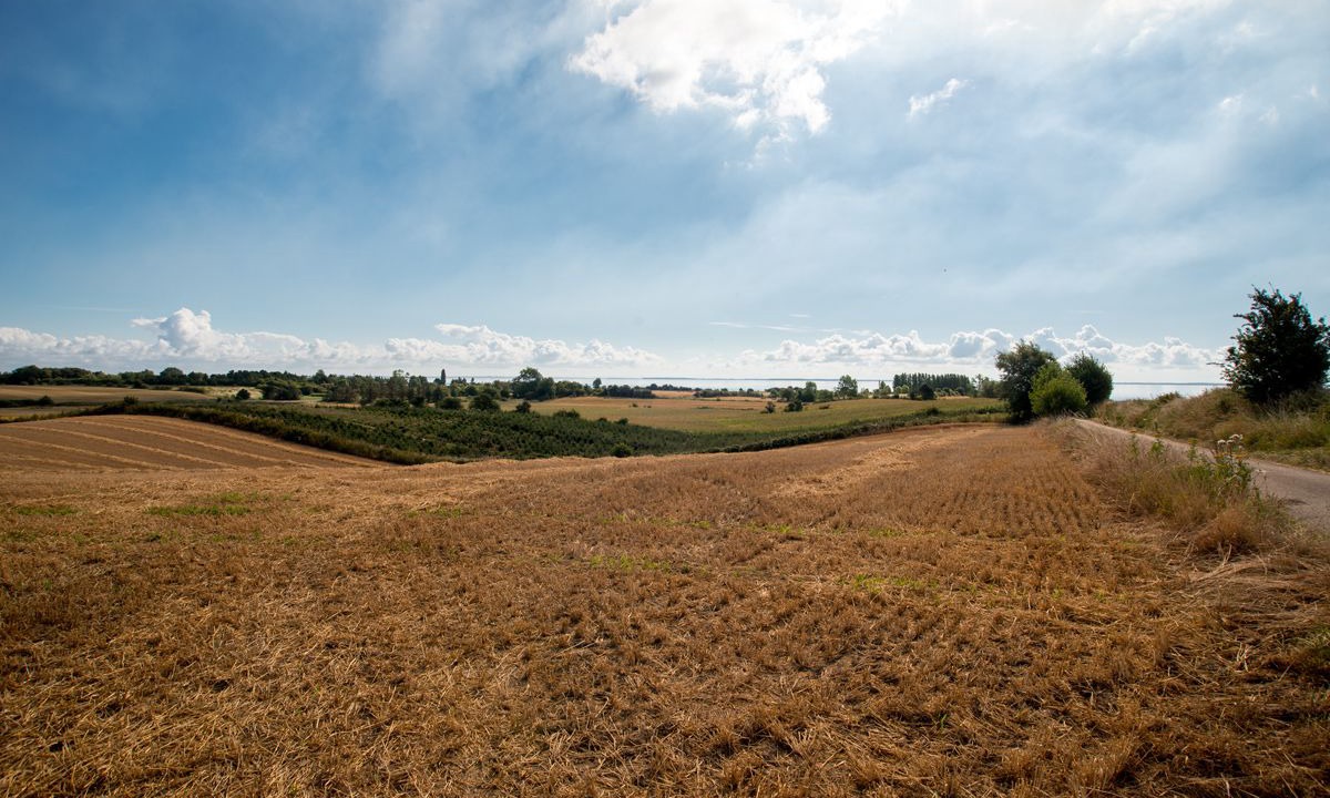Photo of Outdoor in Maribo