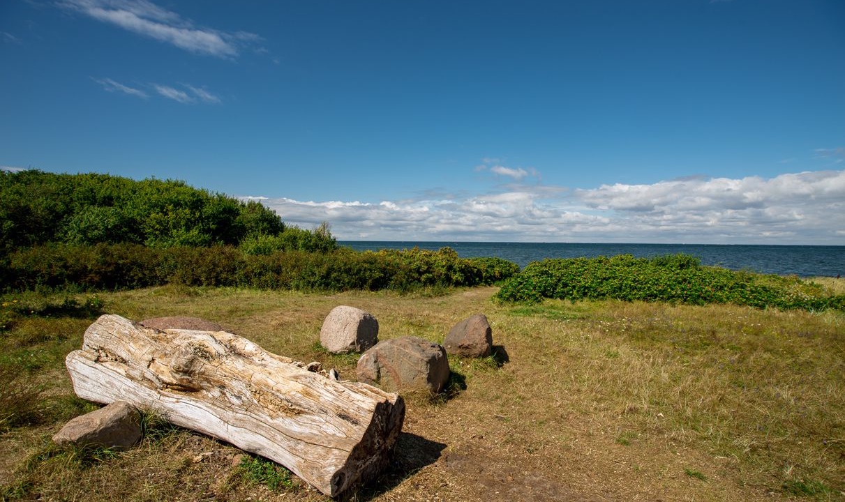 Photo of Outdoor in Maribo