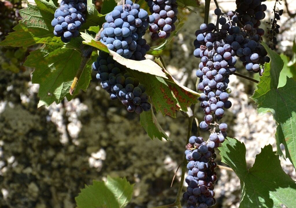Photo of Bathroom in Donzere