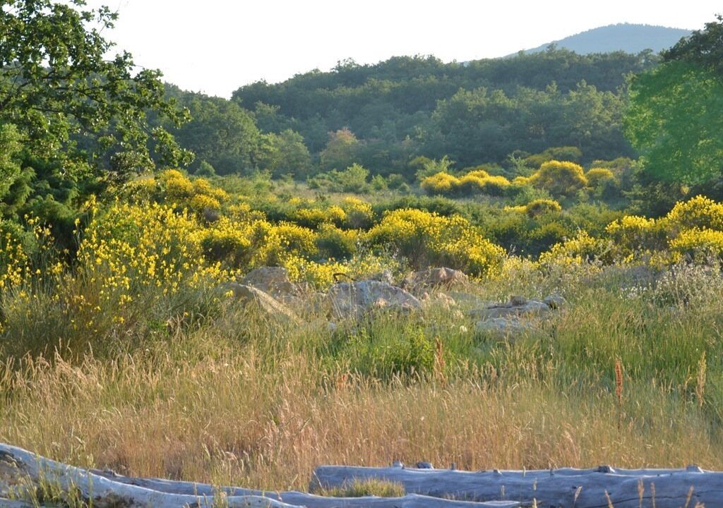 Photo of Outdoor in Donzere