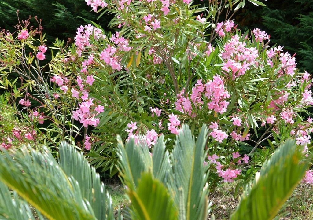 Photo of Outdoor in Donzere