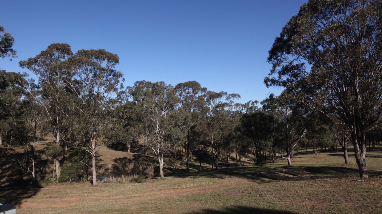 Photo of Outdoor in Lovedale