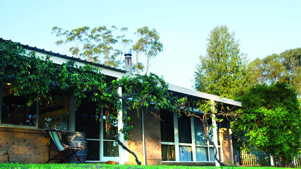 Photo of Outdoor in Lovedale