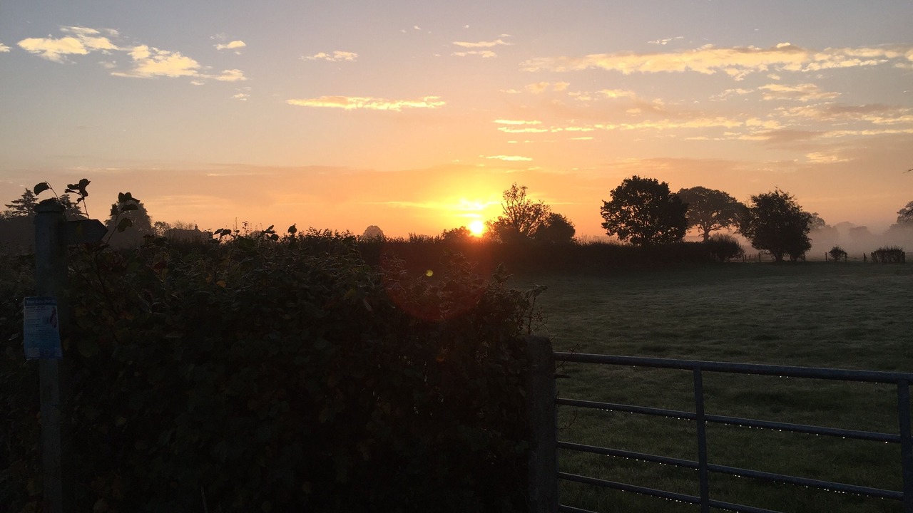 Photo of Others in Halfway House