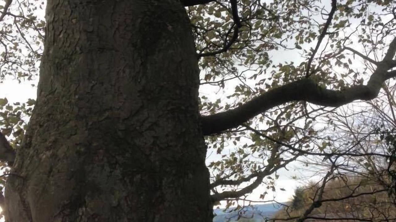 Photo of Bedroom in Halfway House