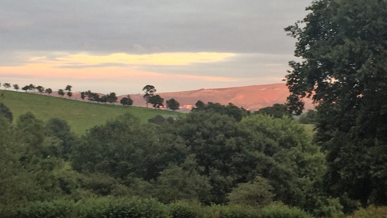 Photo of Others in Halfway House