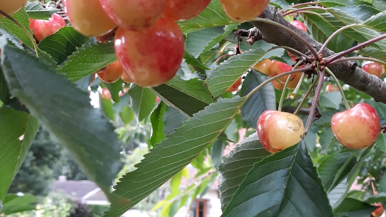 Photo of Others in Montigny-les-Monts