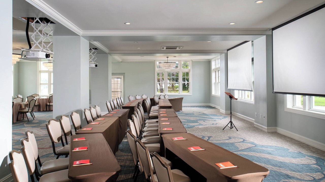 Photo of Others in Dunedin