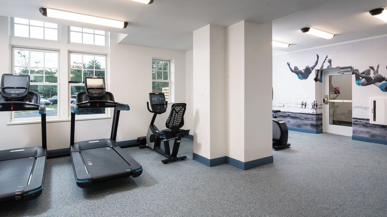 Photo of Others in Dunedin