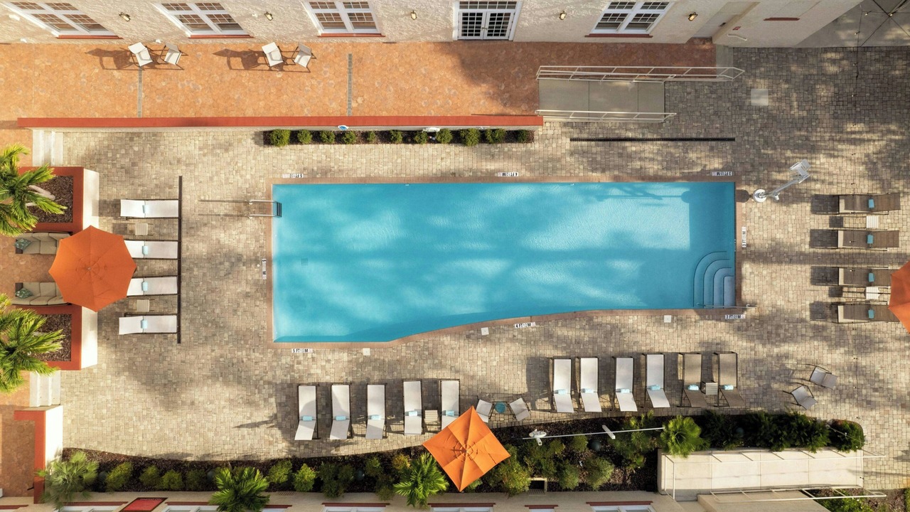 Photo of Outdoor in Dunedin