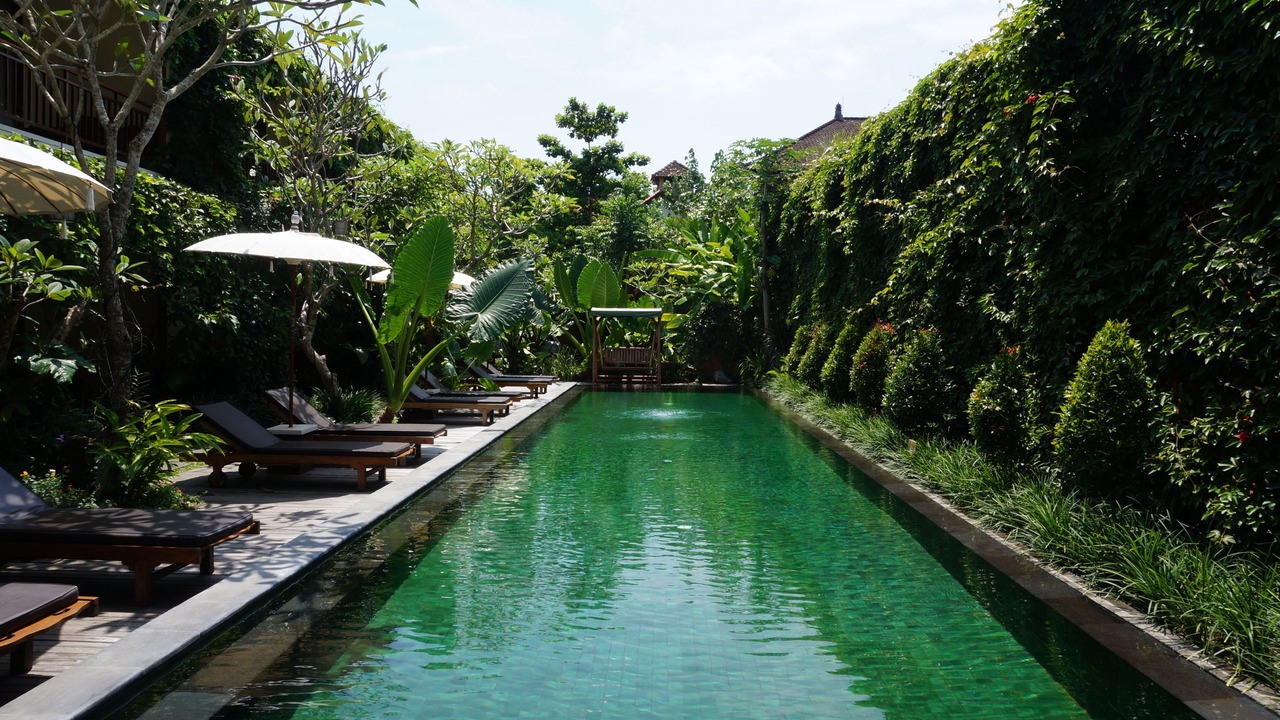 Photo of Others in Nyuh Kuning