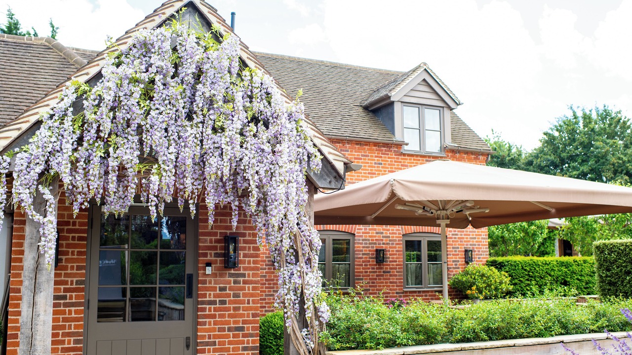 Photo of Outdoor in Maidenhead