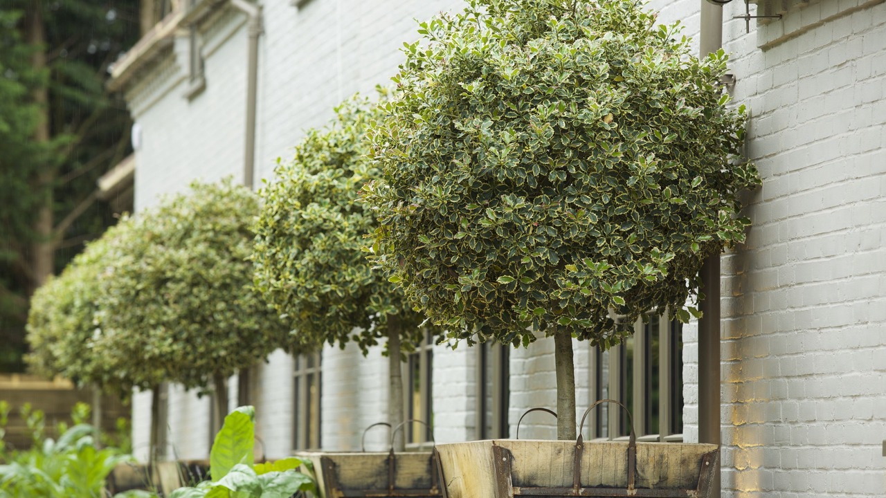 Photo of Others in Maidenhead