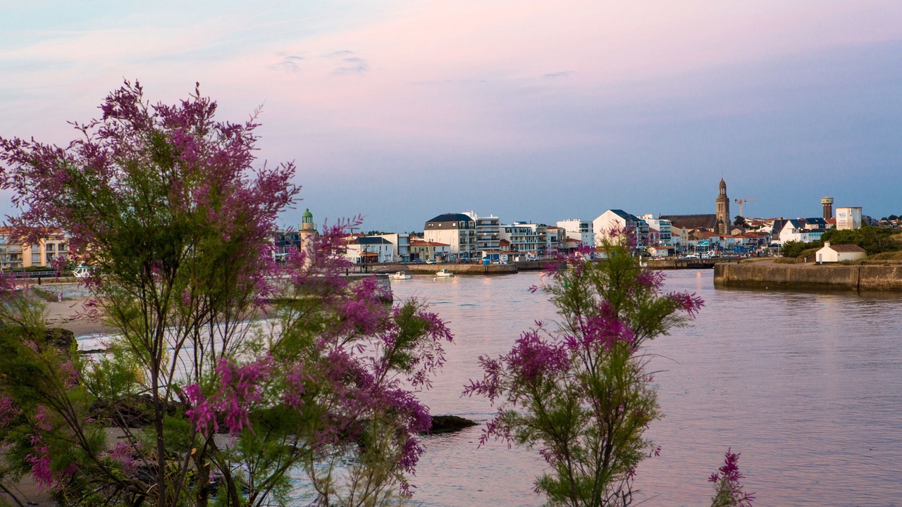 Photo of Others in Saint-Gilles-Croix-de-Vie
