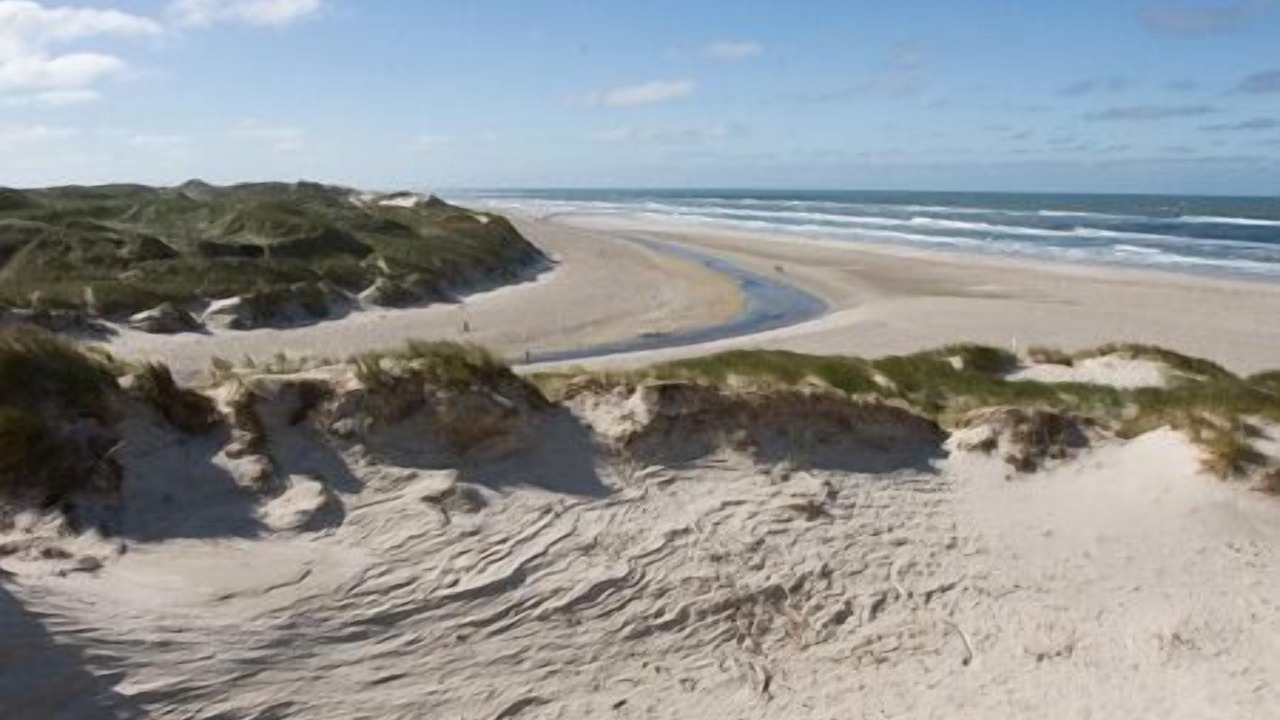 Photo of Others in Henne Strand