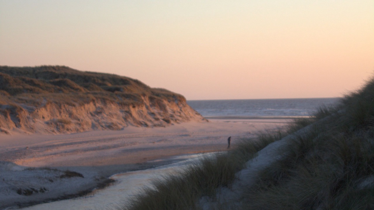 Photo of Others in Henne Strand