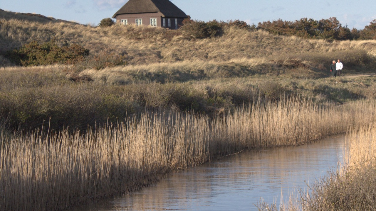 Photo of Outdoor in Henne Strand