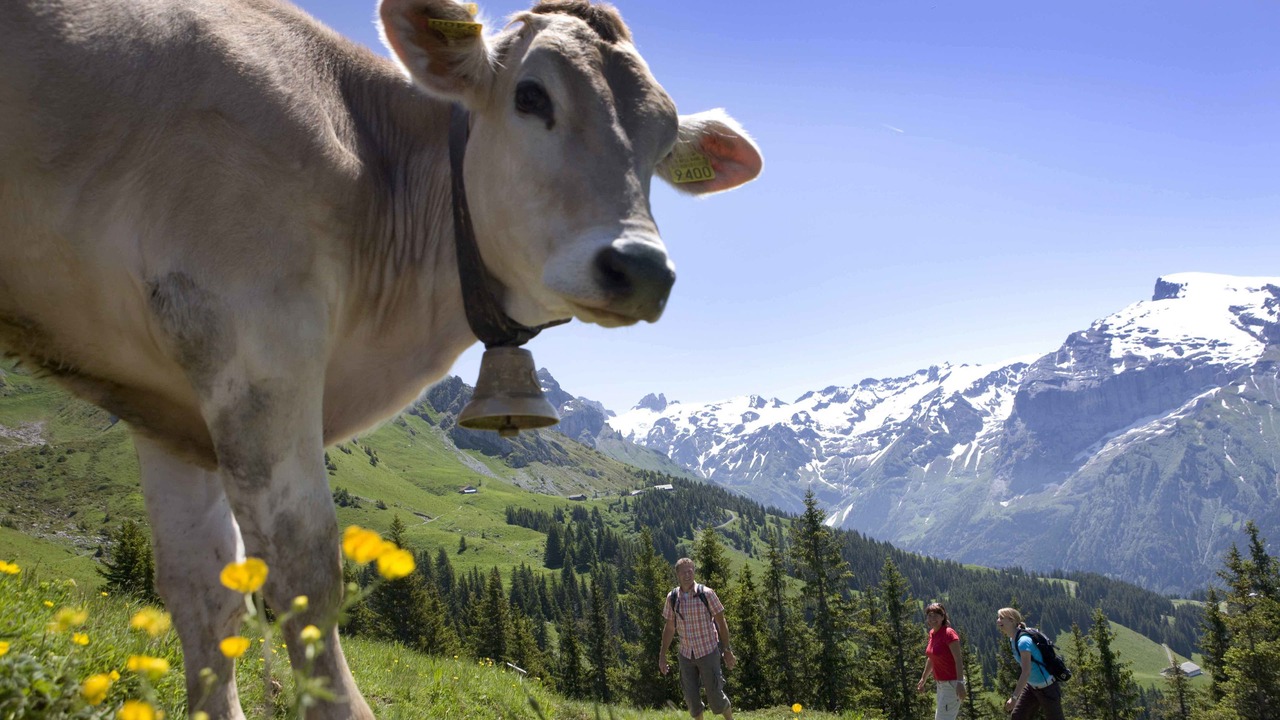 Photo of Outdoor in Engelberg